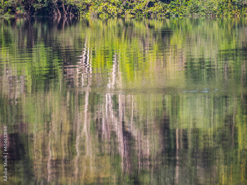 Amazonia Amazonia