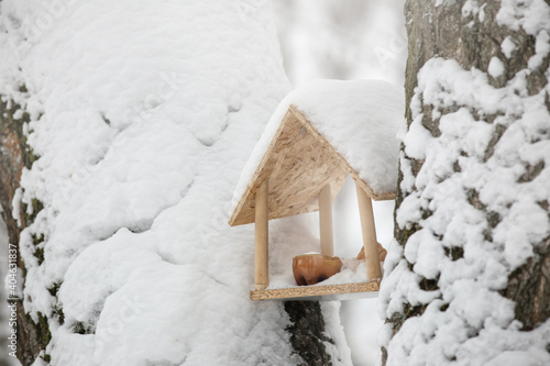 wooden homemade bird feeder in winter, fixed between tree trunks in the snow
