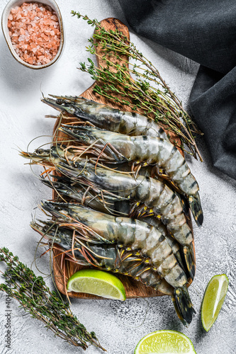 Fresh tiger shrimps, prawns with spices and herbs on a cutting board. Gray background. Top view