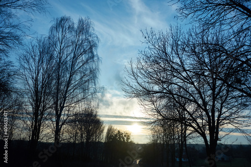 country road and bare trees ona a cold wintry morning in the countryside