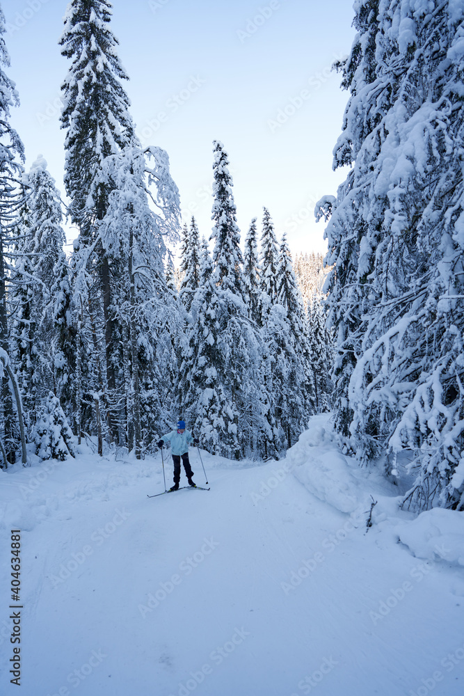 Cross country skiing in Norway is very popular. This is the tracks and slopes in Oslo, just a  short distance from downtown. The place is called Nordmarka or Oslomarka. 