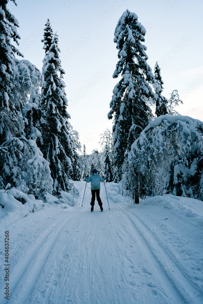 Cross country skiing in Norway is very popular. This is the tracks and slopes in Oslo, just a  short distance from downtown. The place is called Nordmarka or Oslomarka. 