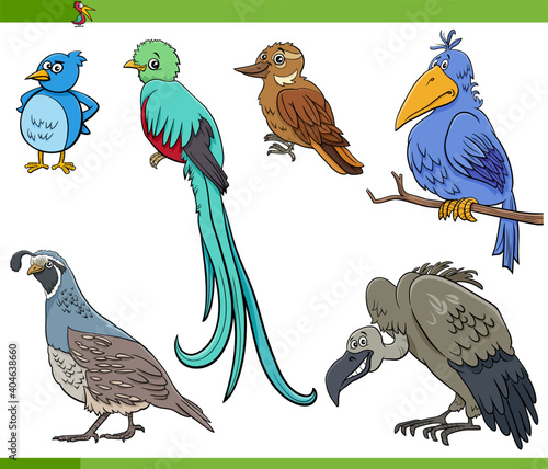 cartoon birds species animal characters set