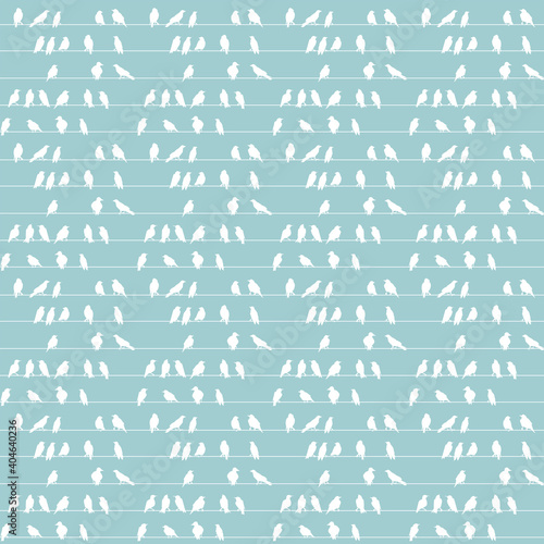 Seamless background with white birds silhouettes