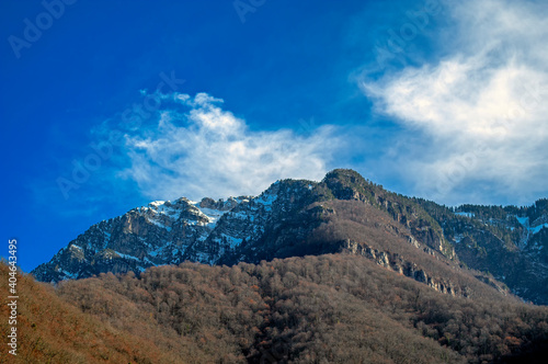 Fototapeta Naklejka Na Ścianę i Meble -  Mountain view with trees and sunny blue sky.