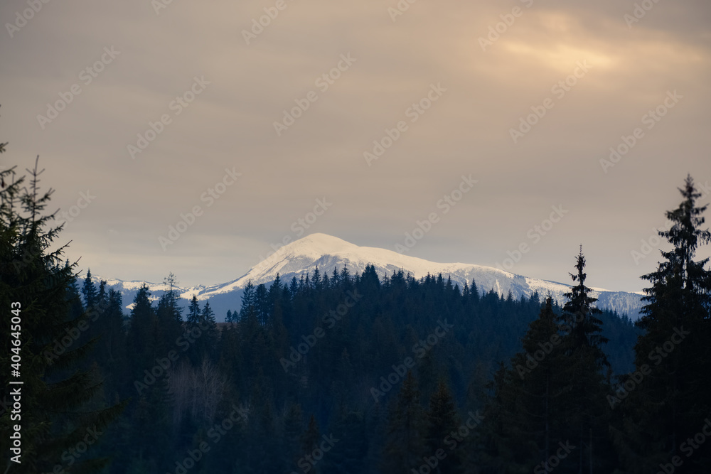 Obraz premium Mountain landscape with trees and fog 