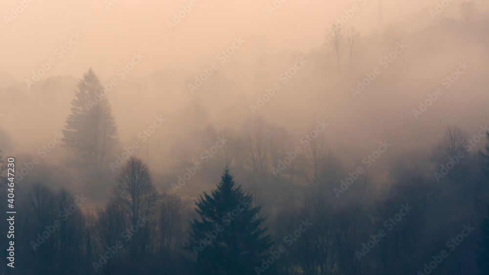 misty mountains landscape with trees misty mountains landscape with trees