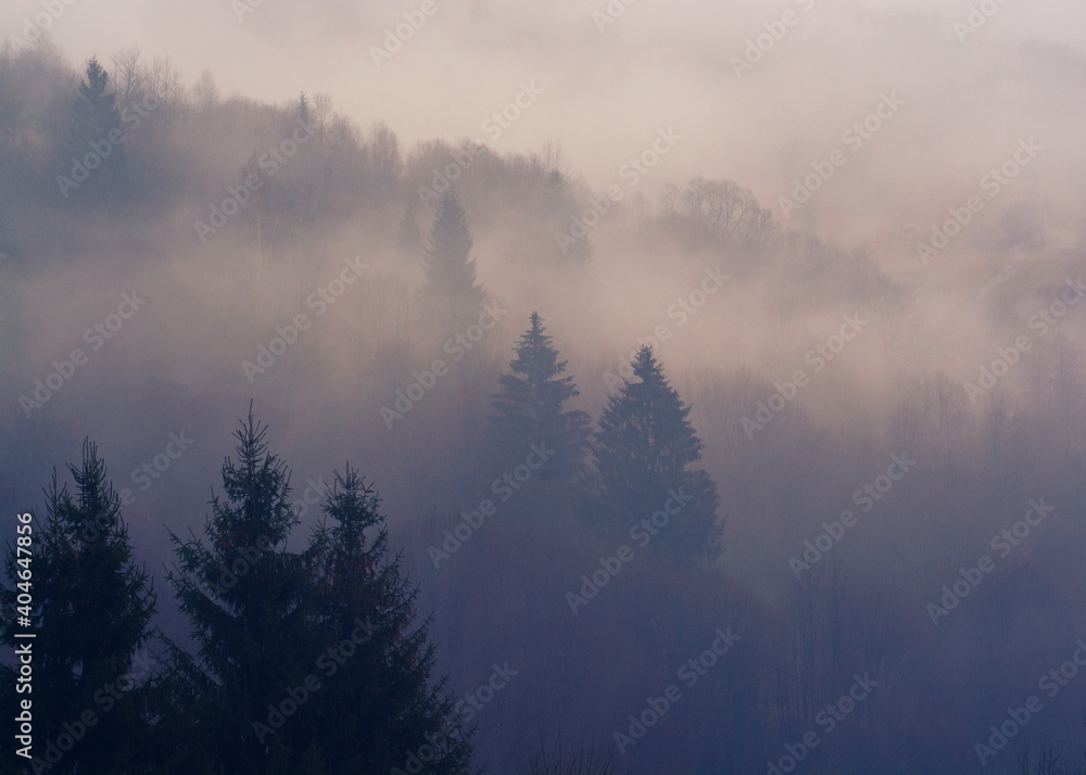 misty mountains landscape with trees 