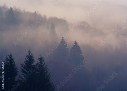 misty mountains landscape with trees  © EvhKorn
