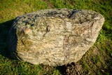 A large stone covered with moss lies on the green grass. Close-up.