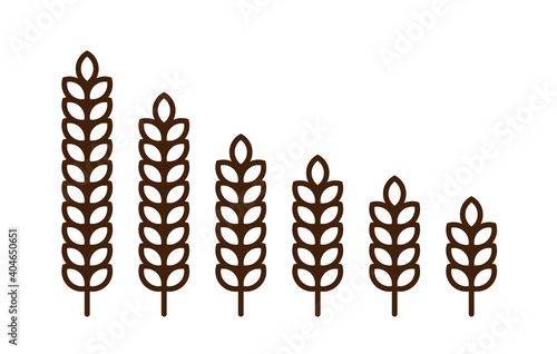 Barley spike or corn ear. Bakery, bread or agriculture logo concept.