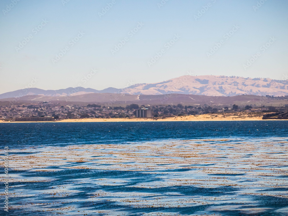 Fototapeta premium Shore