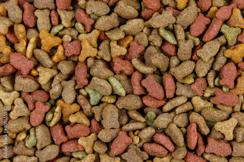 Dry food for cat or dog close-up. Pet food background