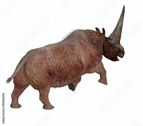 Elasmotherium Tail - Elasmotherium was a herbivorous rhinoceros mammal that had a large horn on it's forehead and lived during the Pliocene and Pleistocene periods. © Catmando