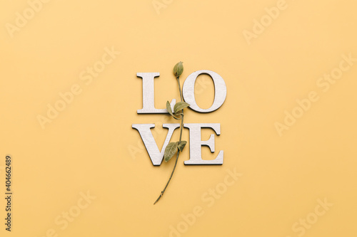 Creative flat lay of word love on soft color  background with natural plants