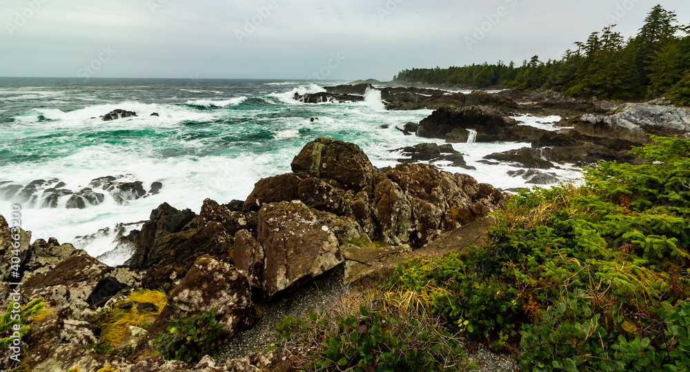 rocky coast of state