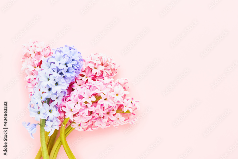 Bouquet of pink and lilac hyacinths flowers on a pink background. Top view, copy space Bouquet of pink and lilac hyacinths flowers on a pink background. Top view, copy space