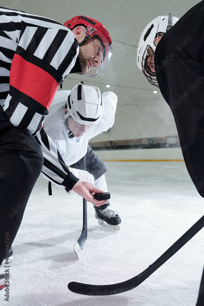 Obraz premium Hockey referee with puck looking at one of two players bending forwards