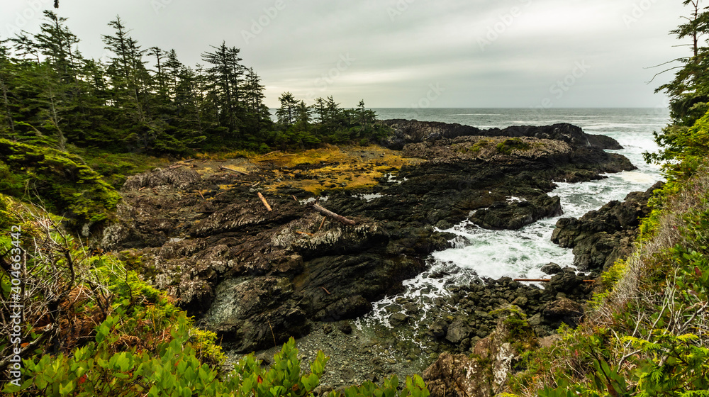 moss on rocks