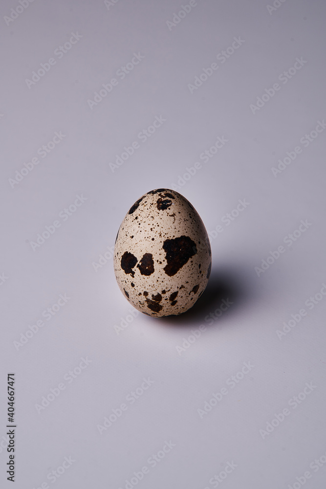 one beauty quail egg over light background
