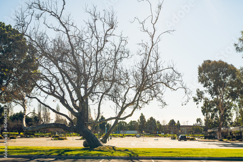 Фотография Empty student parking lot close to Santa Maria  colledge, California, during the
