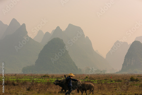 China s natural landscape. A farmer is plowing the land. Guilin s misty peaks.