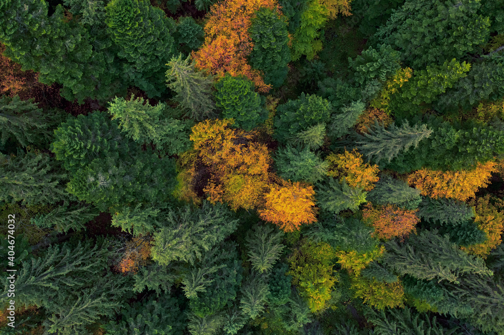 Deciduous autumn forest, aerial view, pattern or texture. Deciduous autumn forest, aerial view, pattern or texture.