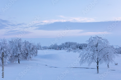winter landscape with trees park