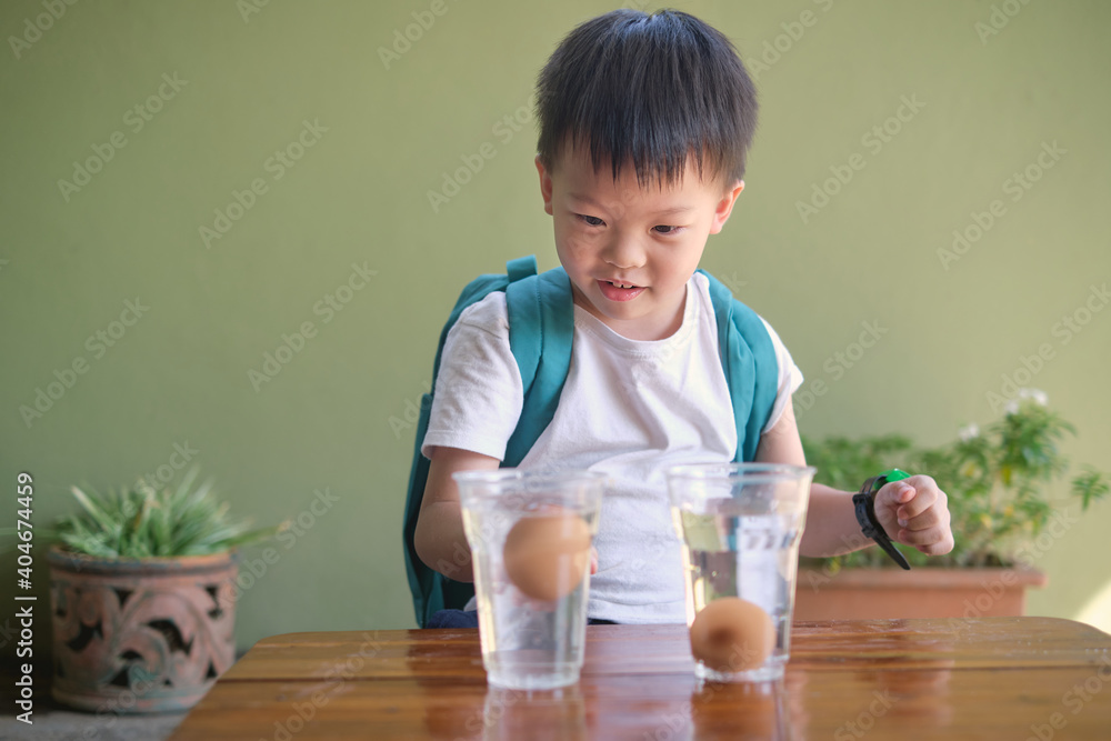 Happy smiling excited little Asian school kid studying science, doing fun and easy Floating Egg Science Experiment to learn about the density of salt water effect to floating and sinking of the eggs Happy smiling excited little Asian school kid studying science, doing fun and easy Floating Egg Science Experiment to learn about the density of salt water effect to floating and sinking of the eggs