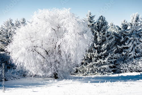 Photography Winter Impressions in the Palouse, WA, USA