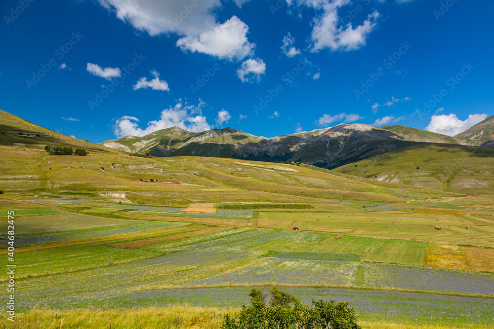 イタリア　カステルッチョ・ディ・ノルチャの広大な高原と花畑
