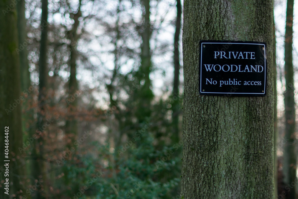 Wall Mural Tree in the middle of the woods with sign Private Land