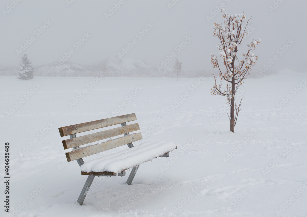 snow covered empty wooden bench and small tree in a ghostly winter fog with hills in the distance