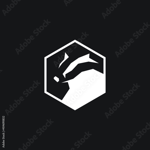 Fotografia logo animal honay badger icon templet vector