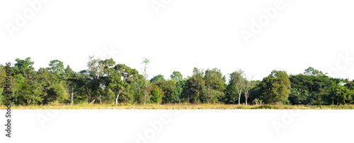  Panorama View of a High definition Treeline isolated on a white background.