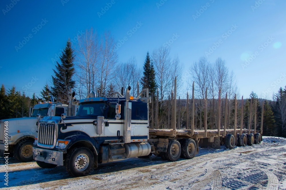Heavy truck trailer for transporting whole trees in Canadian forest in Quebec Heavy truck trailer for transporting whole trees in Canadian forest in Quebec