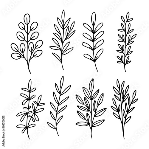 Hand drawn vector set of tree branch. Black leaf eucalyptus, herbs silhouettes isolated on white background. Botanical illustration for print, wedding card, invitation card, floral poster