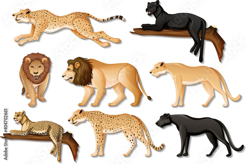 Set of isolated wild African animals on white background