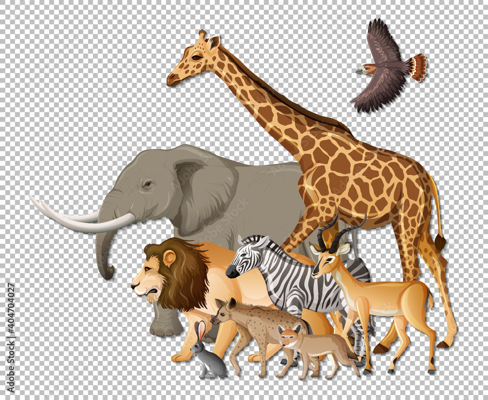 Obraz premium Group of wild african animals on transparent background