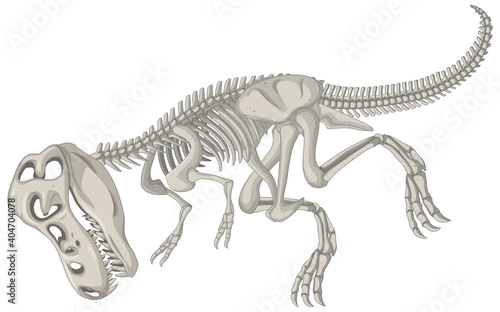  Full dinosaur skeletons on white background