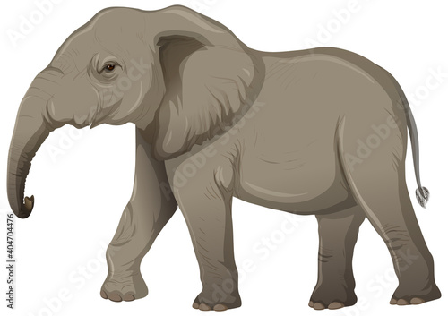 Adult elephant without ivory in cartoon style on white background © blueringmedia