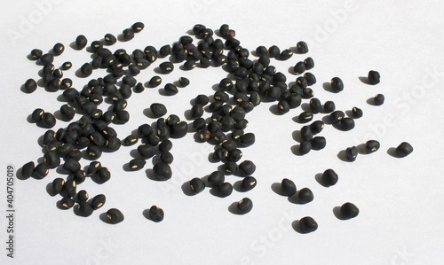 Black beans on white background.