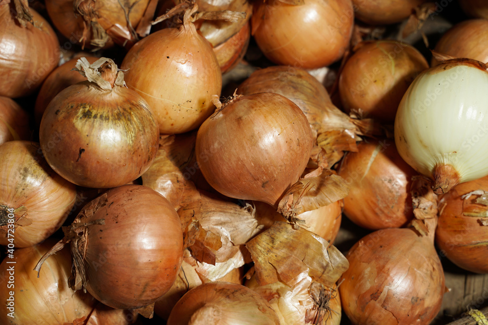 Fresh Onions in market. Bulb onion background. Top view. The full frame group shot of onions in basket. fresh and ripe onions in market as a background
