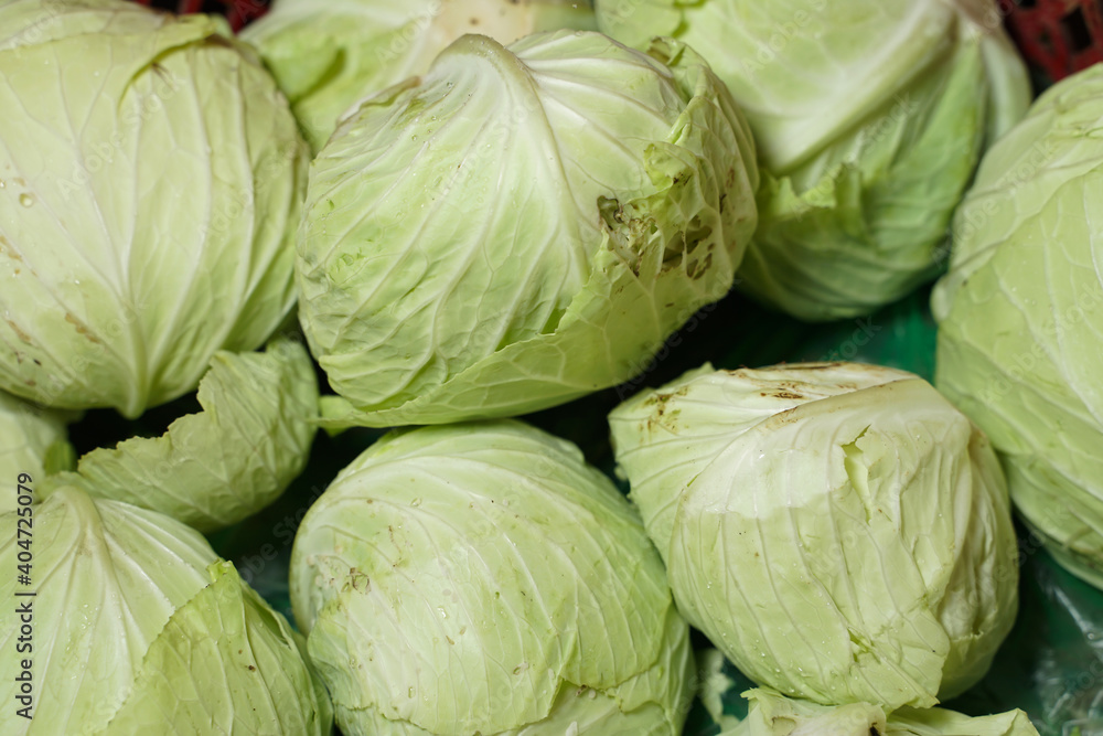 Cabbages display on sale in the traditional market. Vegetables markets. Cabbage background. Fresh cabbage from farm field. Close up macro view of green cabbages. Vegetarian food concept. Cabbages display on sale in the traditional market. Vegetables markets. Cabbage background. Fresh cabbage from farm field. Close up macro view of green cabbages. Vegetarian food concept.