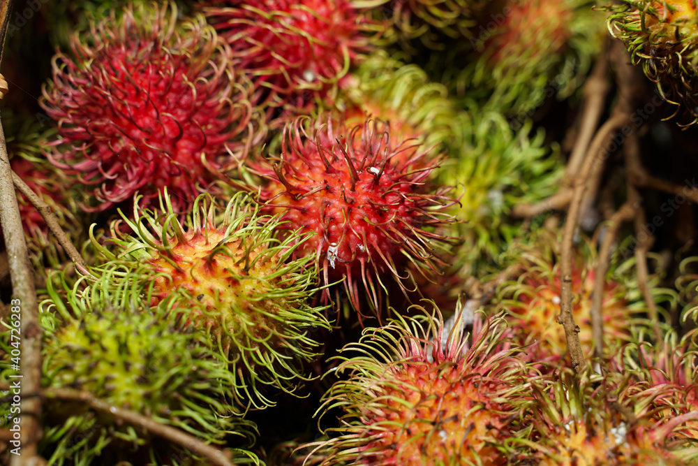 Front view healthy fruits rambutans on a container. The sweet fruit is single-seeded berry covered with fleshy pliable spines. rambutans is a tropical plant originating from areas in Asian. Front view healthy fruits rambutans on a container. The sweet fruit is single-seeded berry covered with fleshy pliable spines. rambutans is a tropical plant originating from areas in Asian.