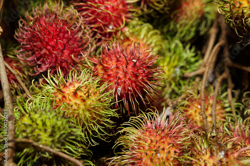Front view healthy fruits rambutans on a container. The sweet fruit is single-seeded berry covered with fleshy pliable spines. rambutans is a tropical plant originating from areas in Asian.