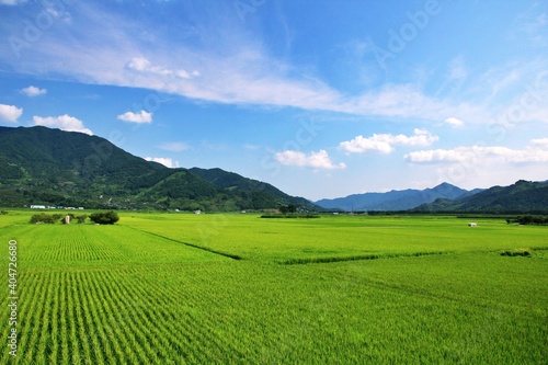 landscape with field and mountains © Soonyong