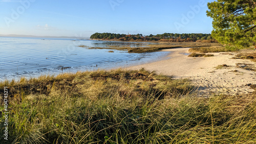 wild sandy natural beach in cap ferret on arcachon bay in France