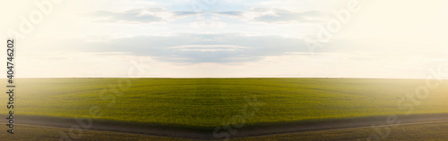 Green field is growing grass. Sunset on the field. Summer © amdre100