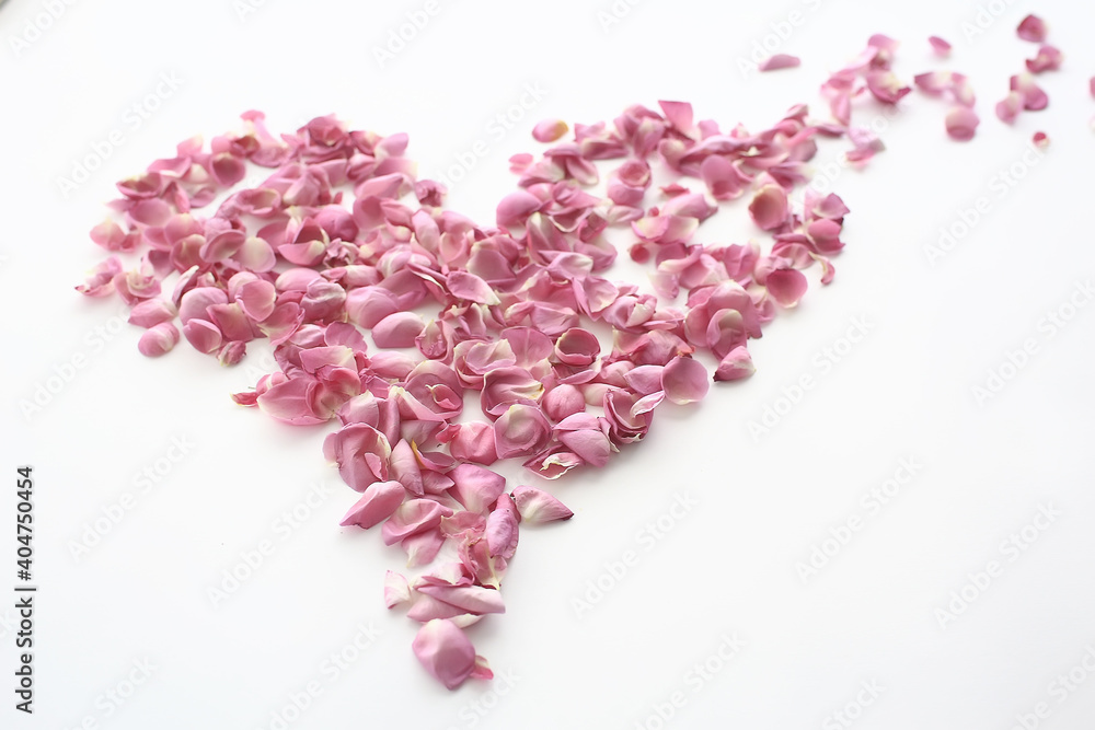 heart rose petals / pink roses, heart-shaped frame petals, love concept heart rose petals / pink roses, heart-shaped frame petals, love concept
